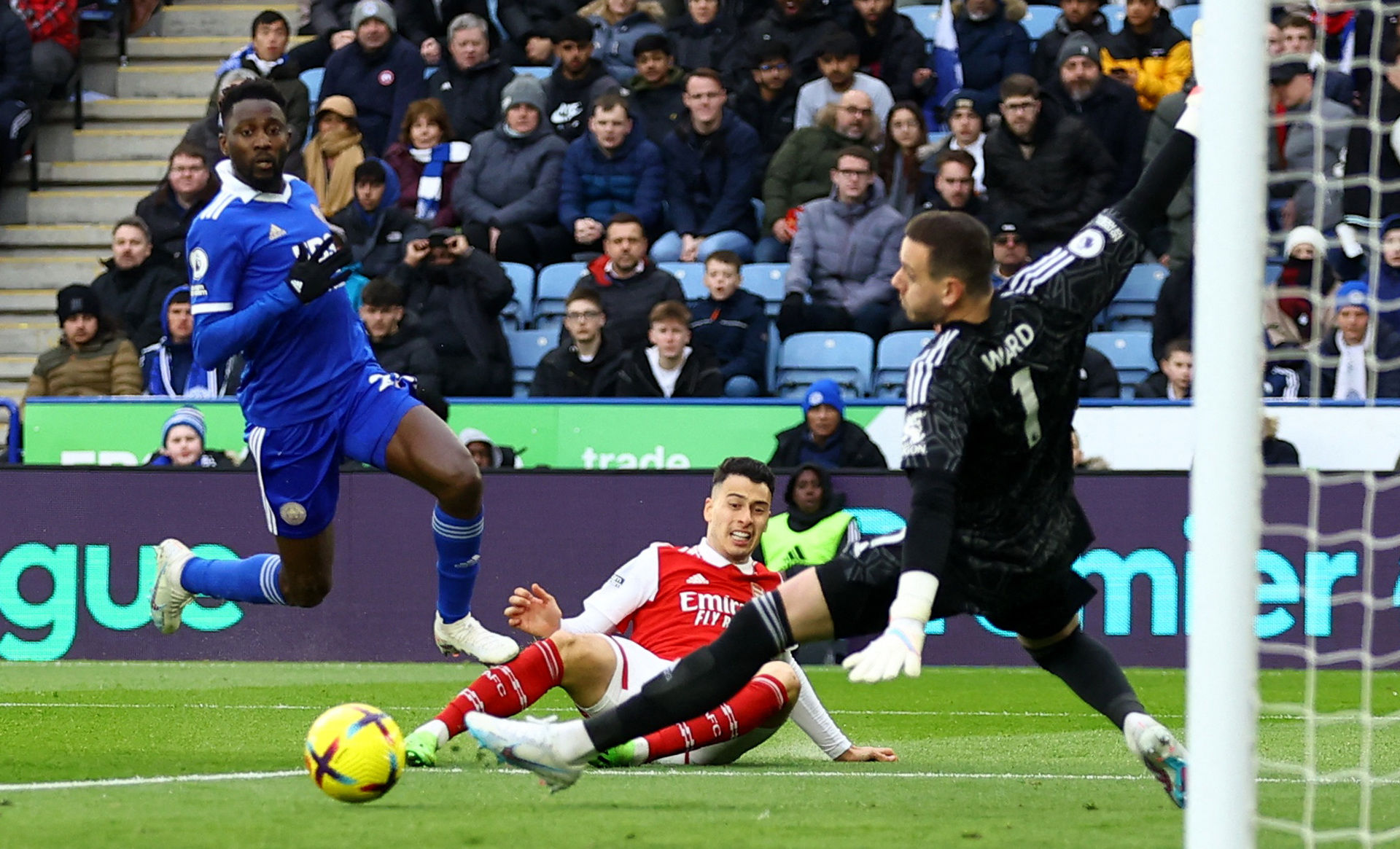 熊猫热情不 熊猫热情不